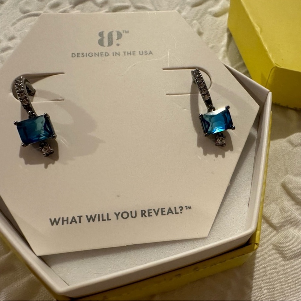 Elegant Blue and Silver Earrings - Picture 1 of 4